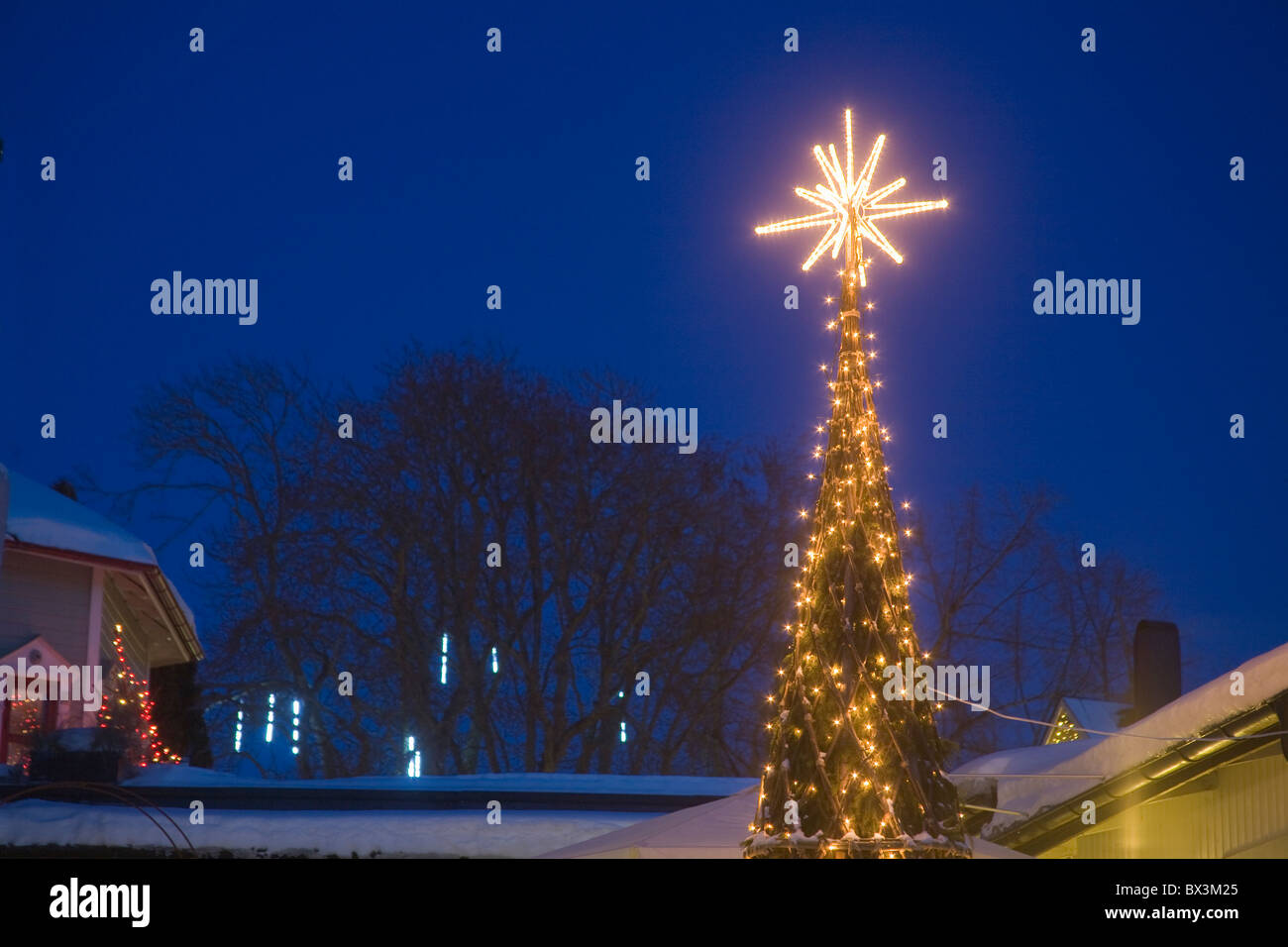 Christmas tree light in Trosa by night winter Stock Photo Alamy