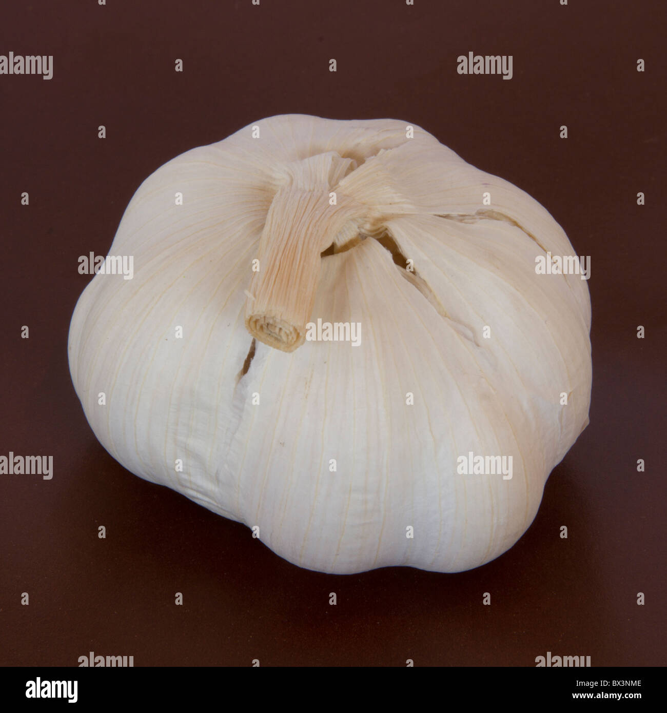 garlic on brown background Stock Photo