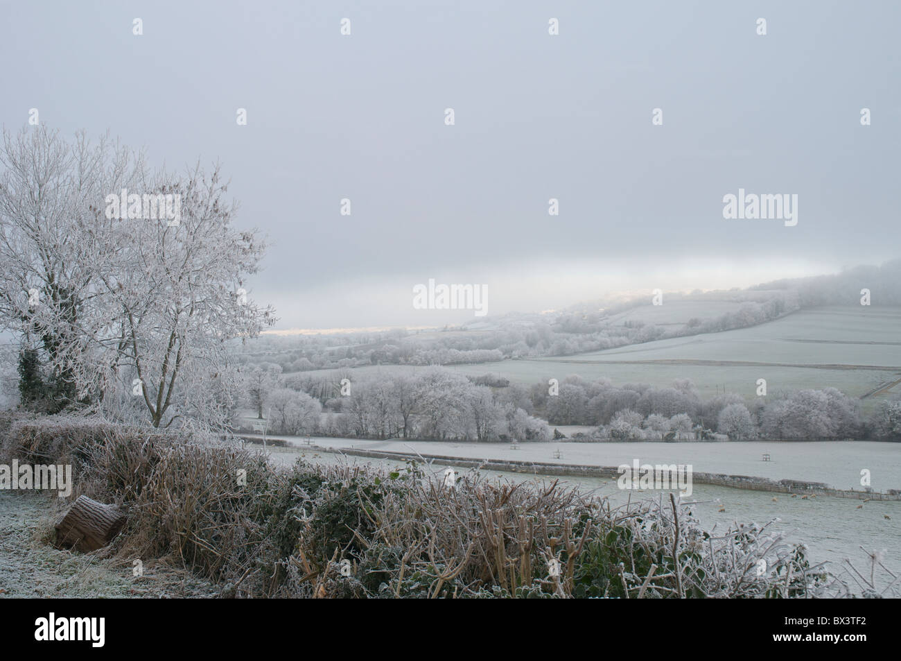 Severe hoarfrost accumulation turned the southwest of England into a