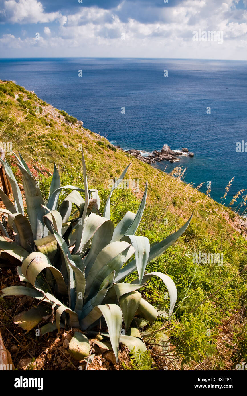Zingaro Natural Reserve, Sicily, Italy Stock Photo Alamy