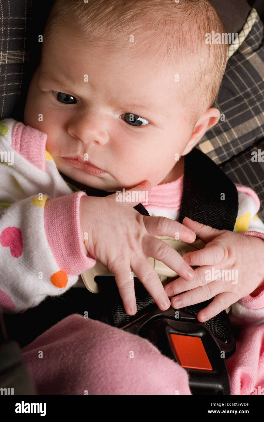 Front seat belts hires stock photography and images Alamy