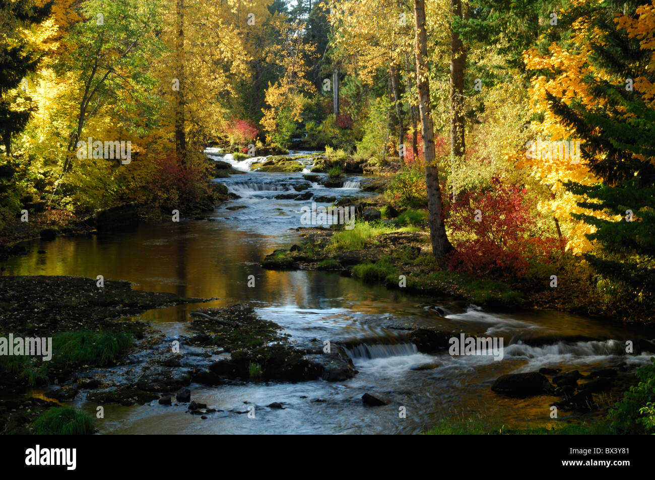 Trout Lake Creek Stock Photo Alamy