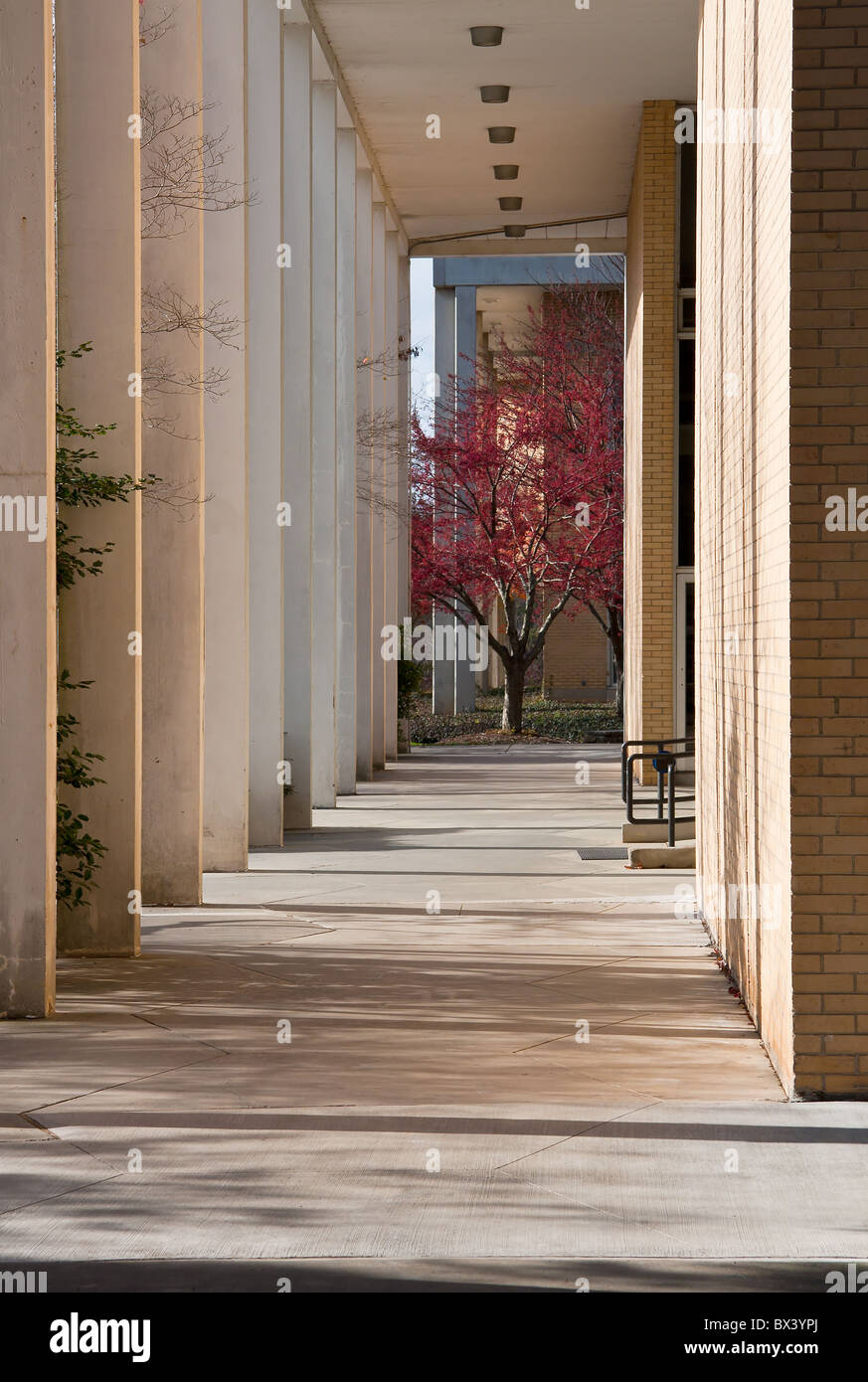University of North Carolina; Asheville Stock Photo