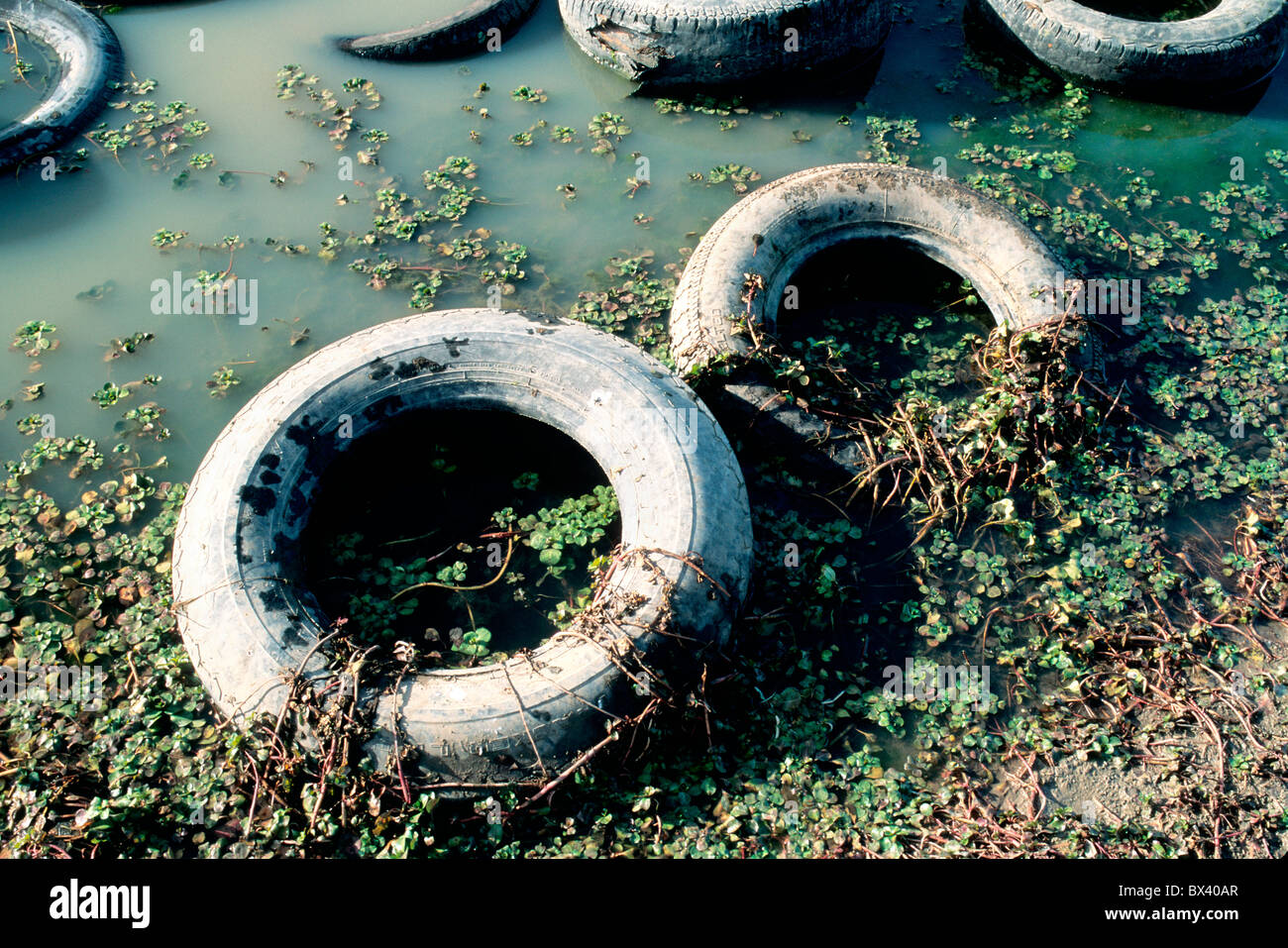 Old tires discarded into pond, Stock Photo