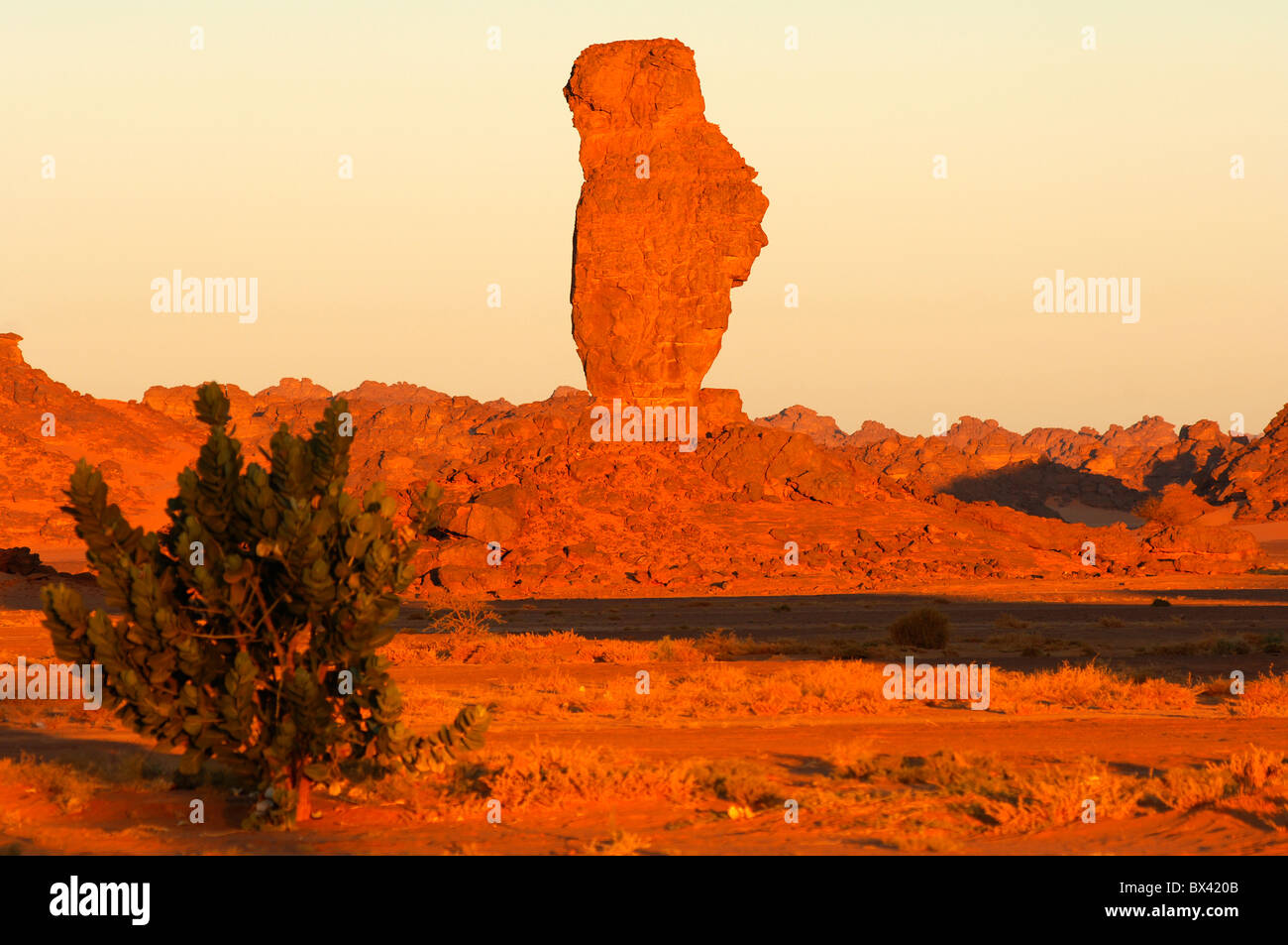 Morning light on bizarre rock formations in the Acacus mountains, Libya Stock Photo