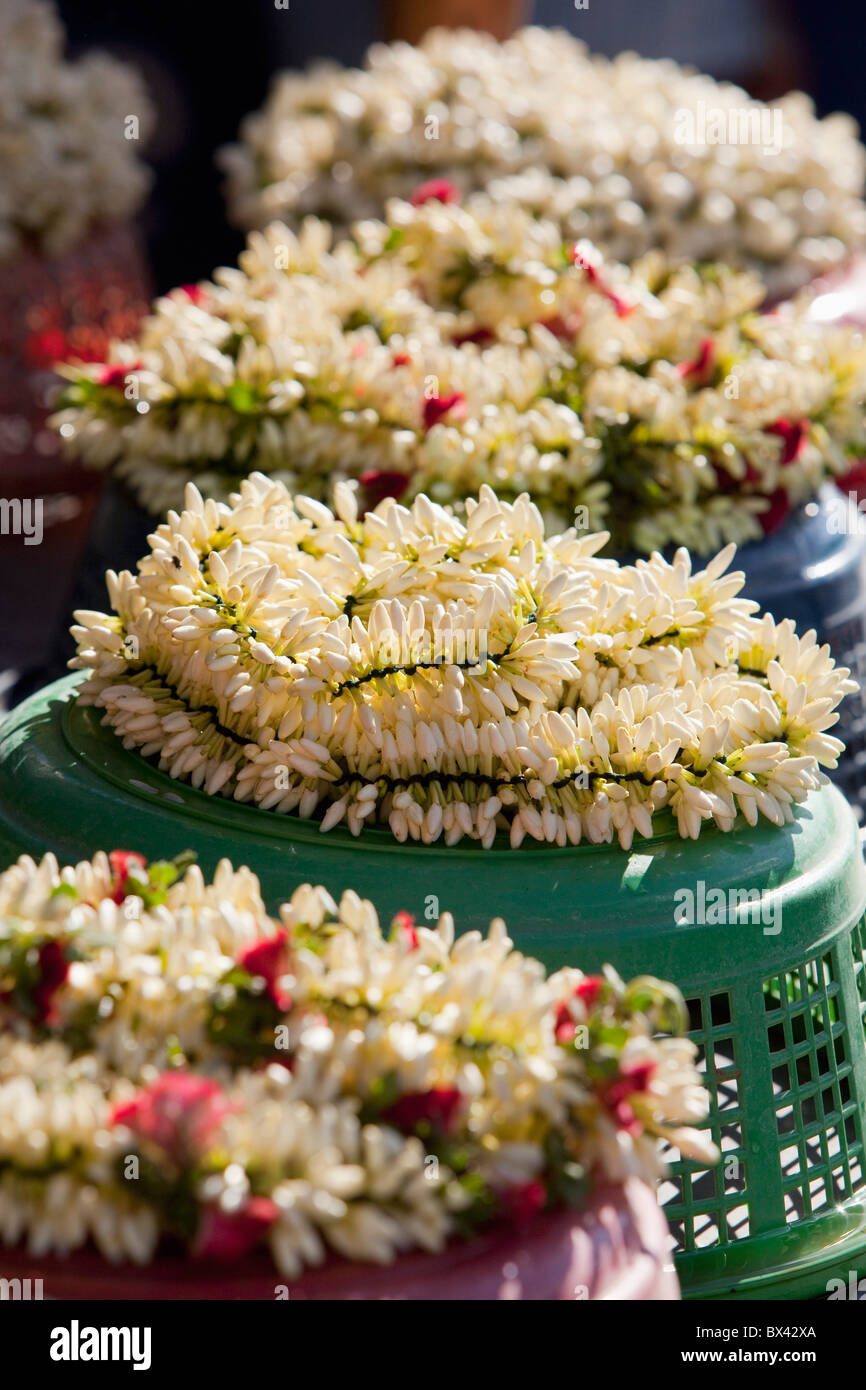 Wreaths and garland hires stock photography and images Alamy