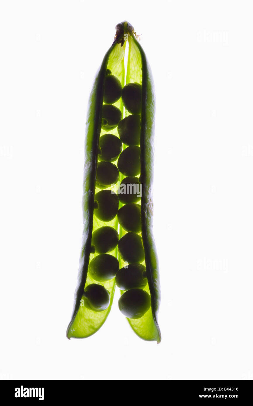 10818491 hires stock photography and images Alamy