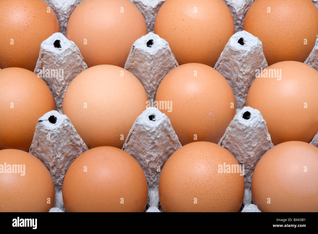 brown eggs hen egg raw carton food Stock Photo