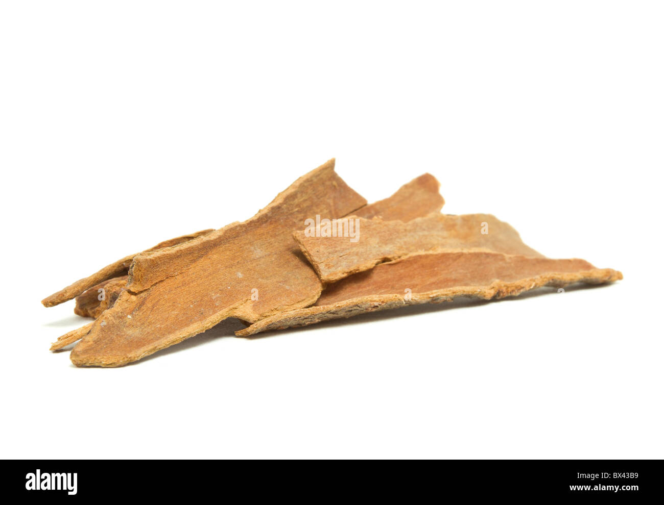 Pile of Cinnamon bark from low perspective isolated on white background. Stock Photo