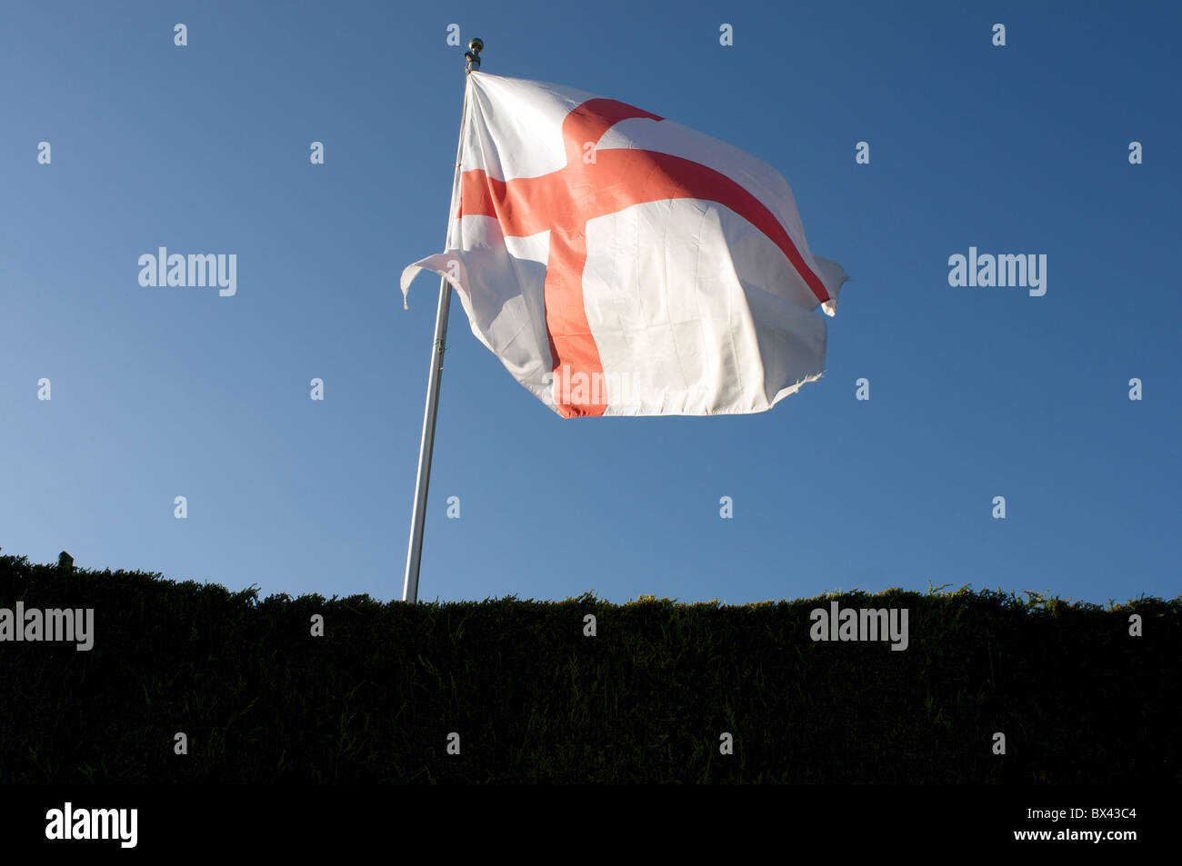 The English national flag flying above a hedgerow (taken in Derbyshire, England). Stock Photo