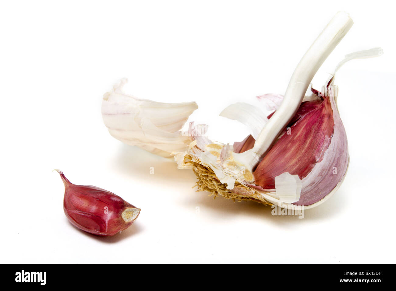 part used Garlic Bulb from low perspective isolated on white. Stock Photo