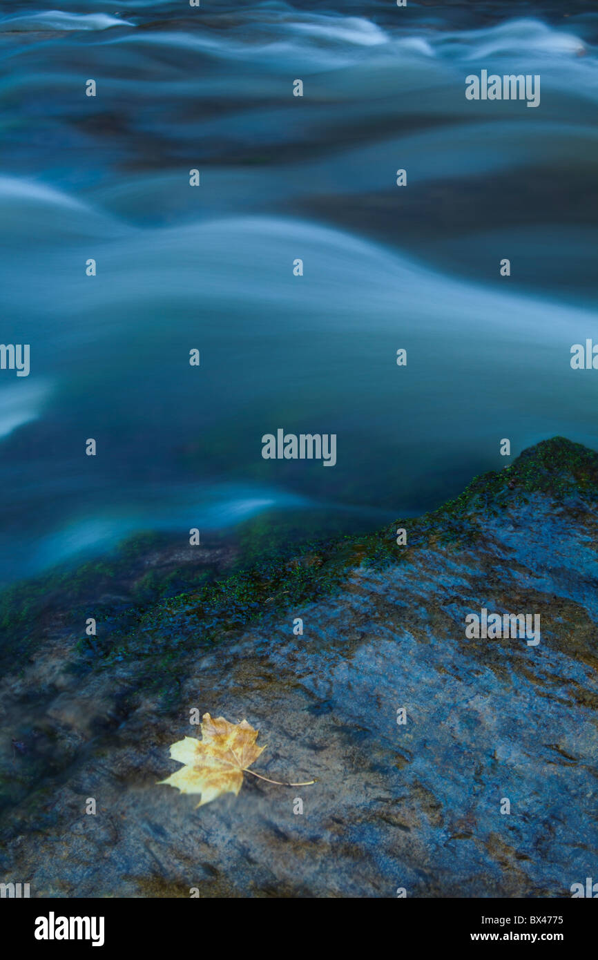 river in autumn forest Stock Photo - Alamy