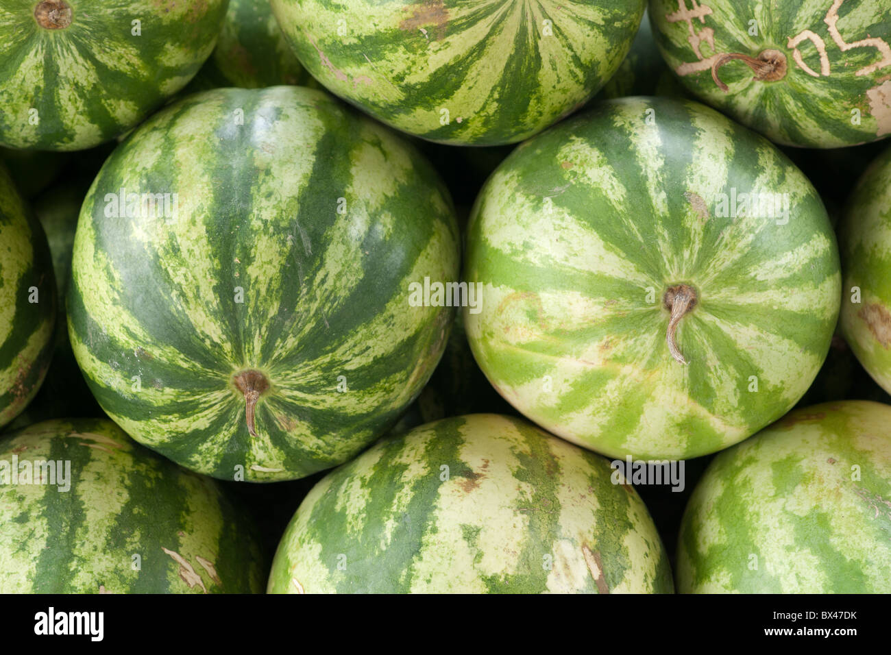 Pile of whole watermelons on display on a traditional market in Brazil. Stock Photo