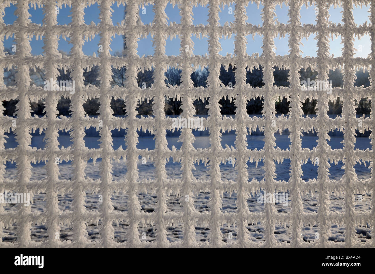 Unusual netting hi-res stock photography and images - Alamy