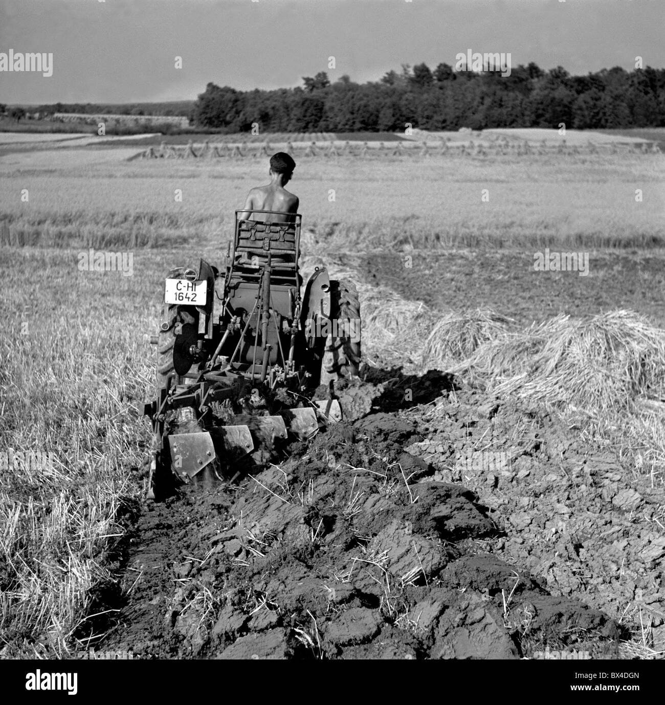 Czechoslovakia - Velen, 1950. Socialist cooperative farmer plows the Stock  Photo - Alamy