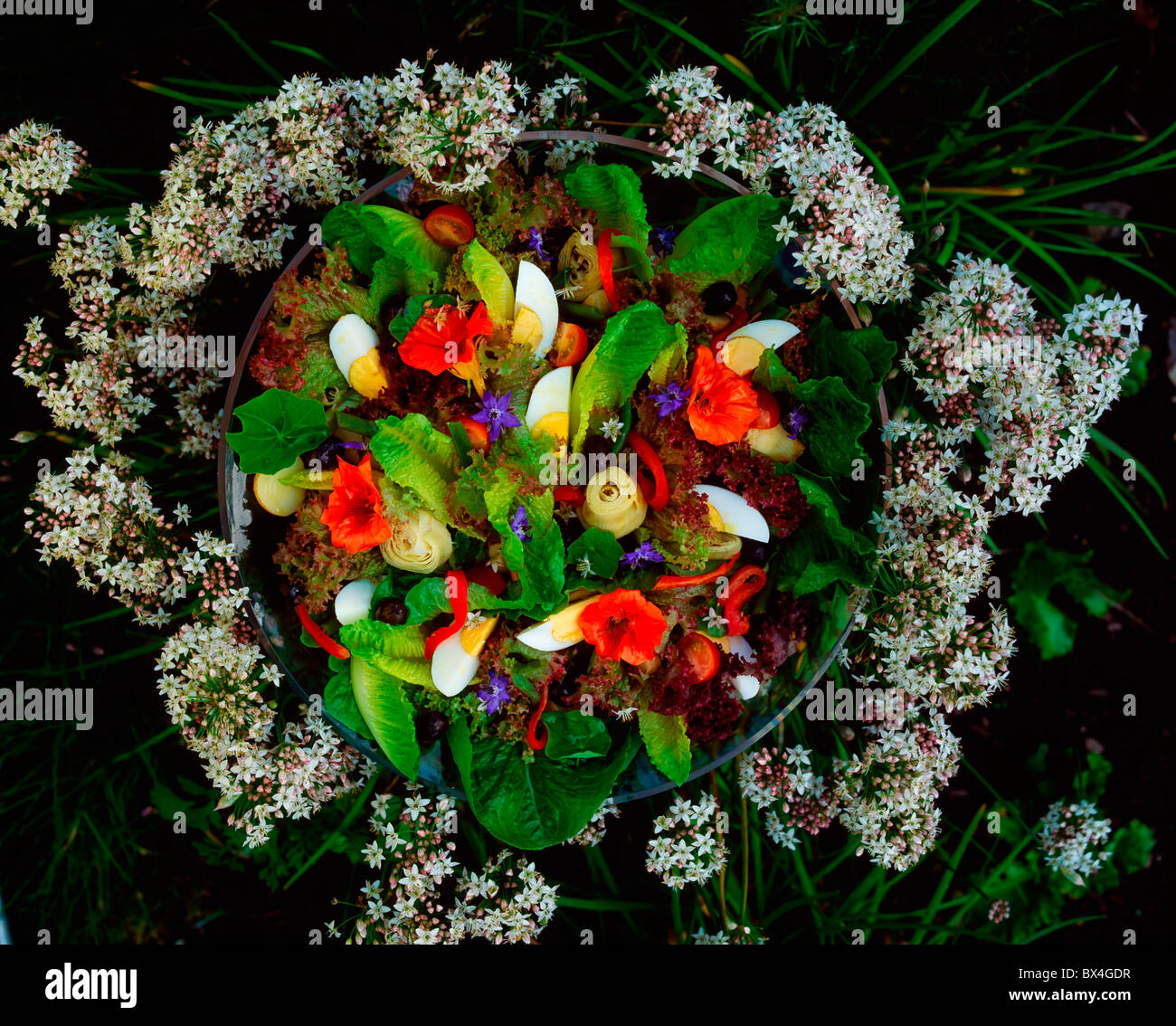 Mixed Leaf And Vegetable Salad Stock Photo