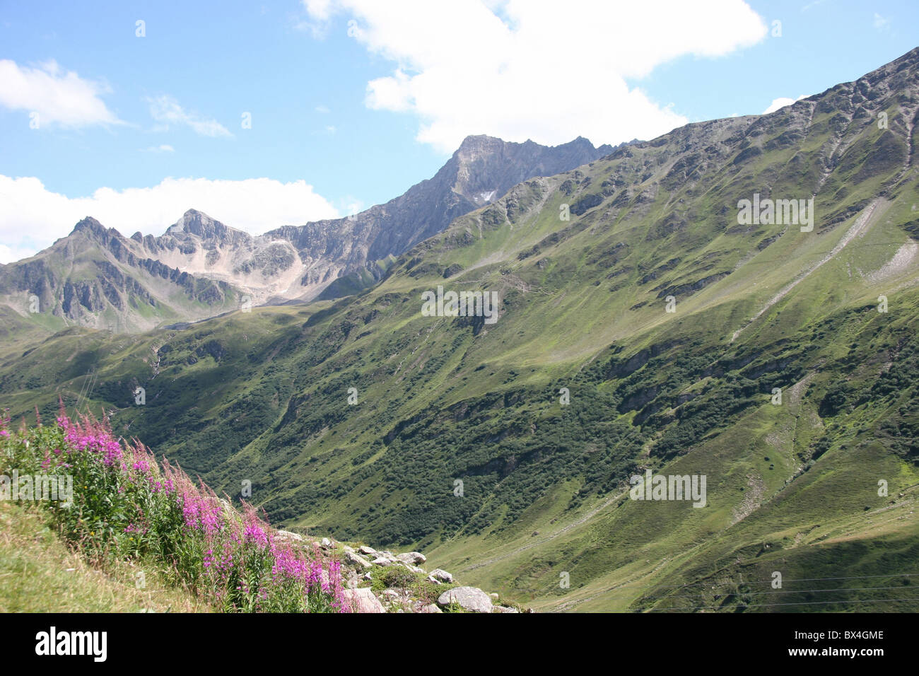 Switzerland Europe Ticino Valais Nufenen pass mountains Alps flowers Stock Photo