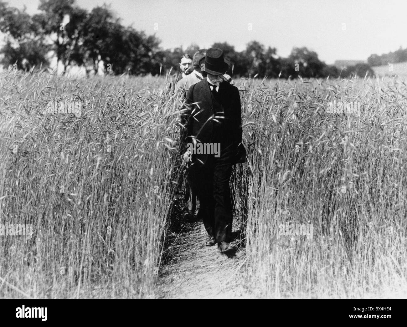 Masaryk walks trough whaet field Stock Photo