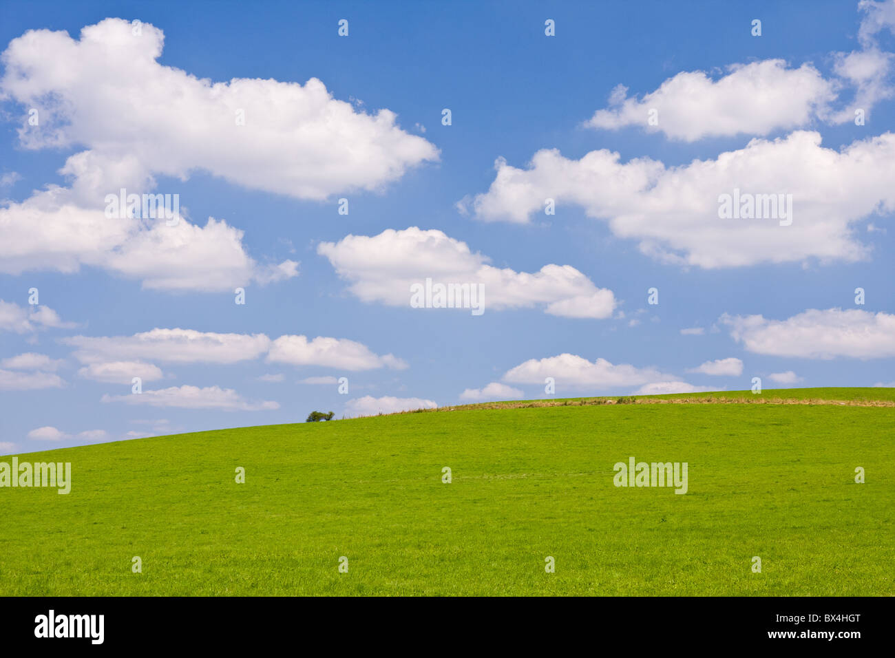 green farm land with a blue sky Stock Photo - Alamy