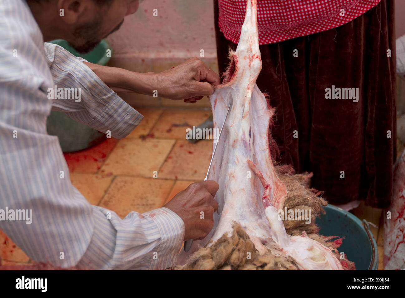 Butchery Mutton High Resolution Stock Photography and Images - Alamy