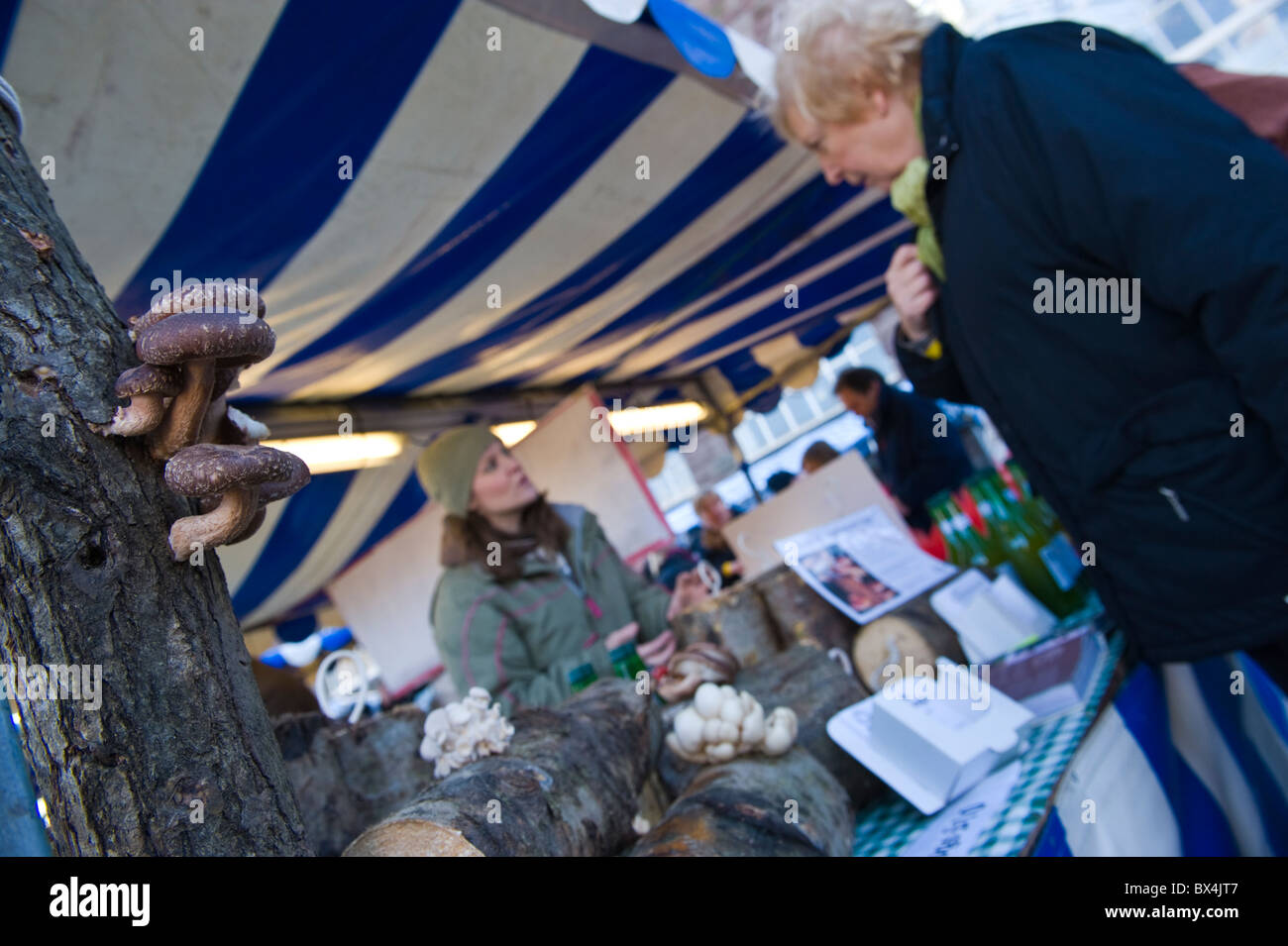 Mushroom logs from Ragmans Lane Farm at Abergavenny Food Festival