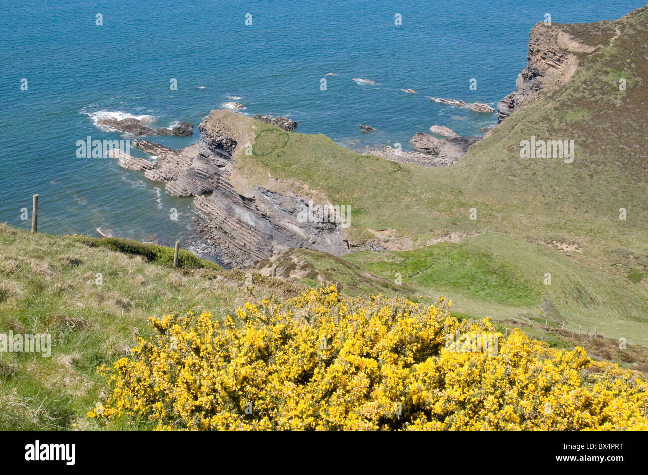 looking north towards Castle Point and Little Barton Strand on the