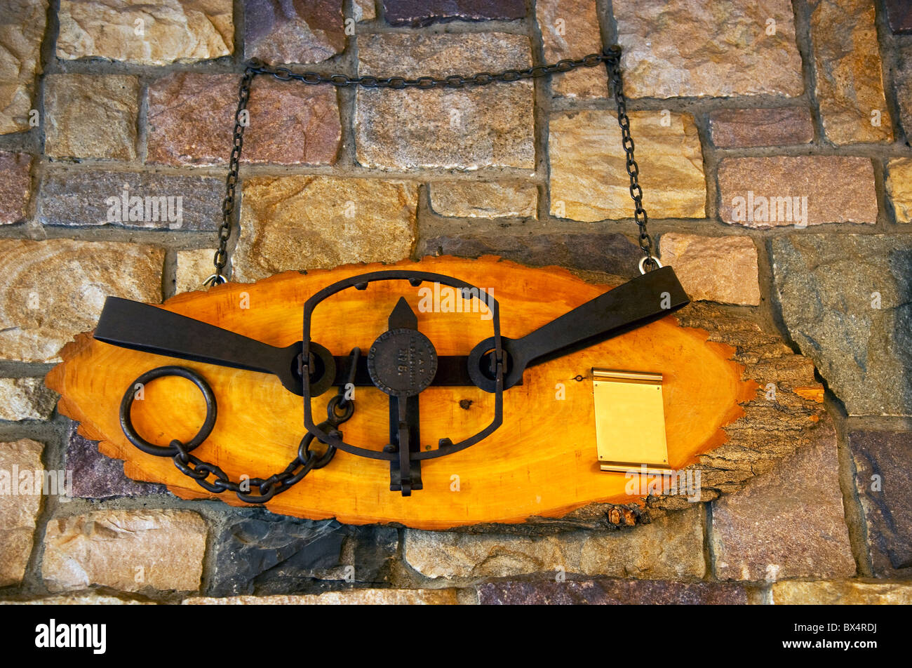 Bear leg trap hi-res stock photography and images - Alamy