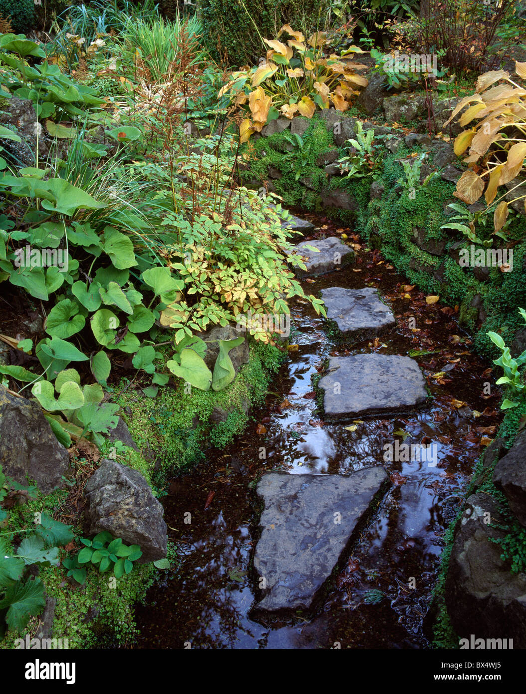 Stepping Stones In The Japanese Gardens, County Kildare, Ireland Stock