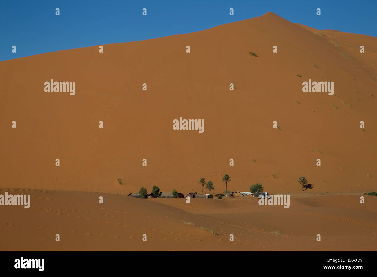 Erg Chebbi sand dunes;Merzouga;Morocco Stock Photo