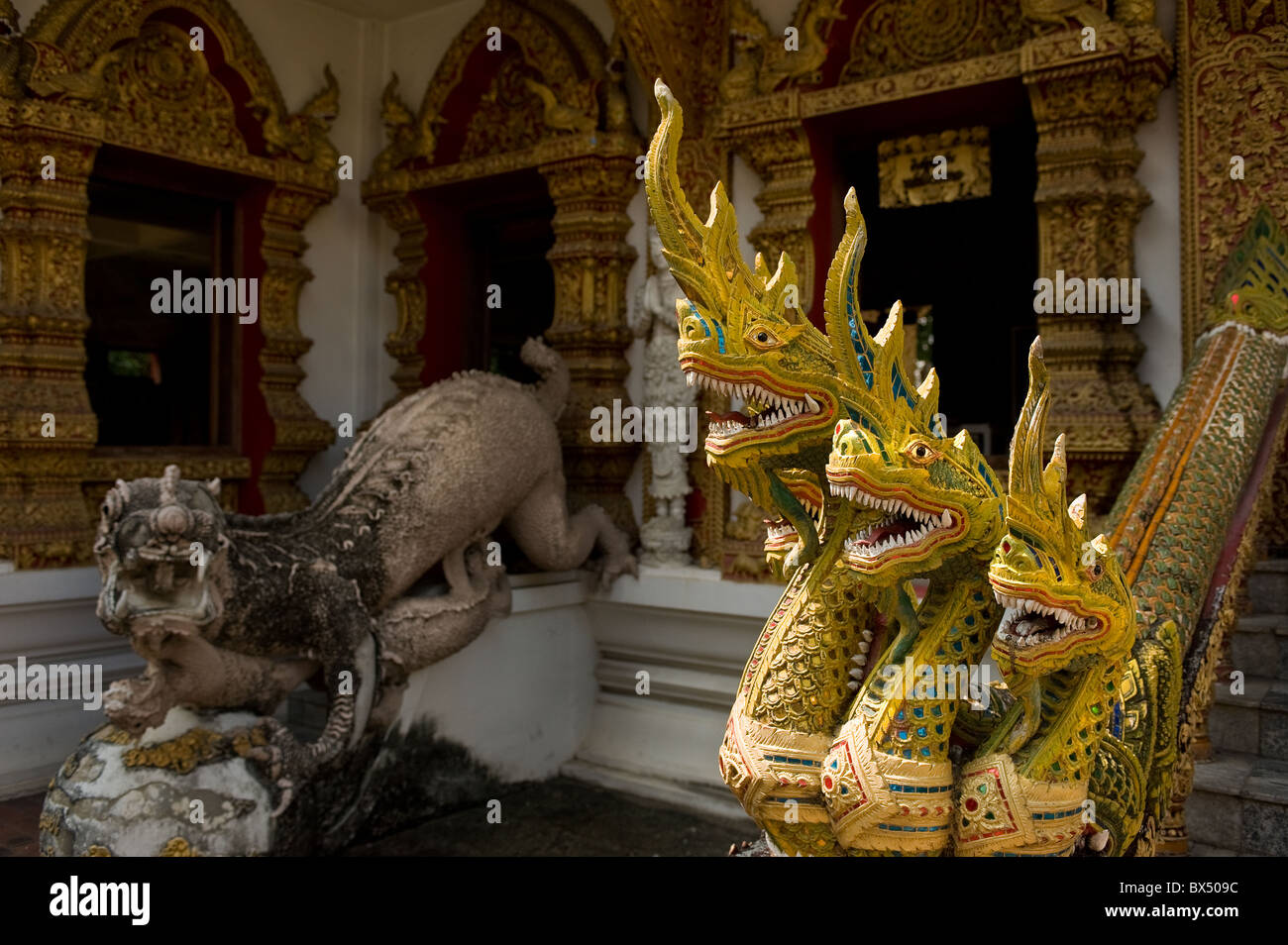 Nagas at Wat Buppharam in Chiang Mai in Thailand in South East Asia Stock Photo