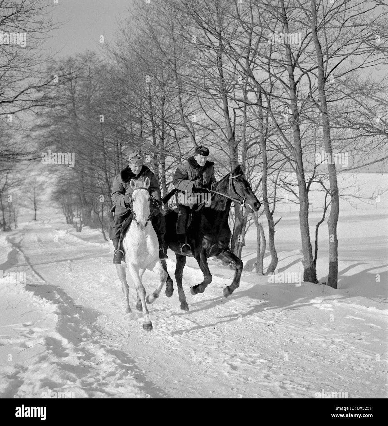 Border patrol, horseback riders, gallop Stock Photo