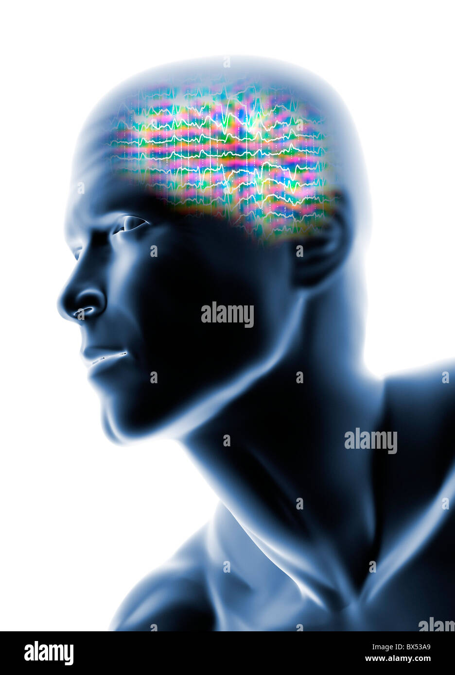 Human head with EEG brainwaves Stock Photo
