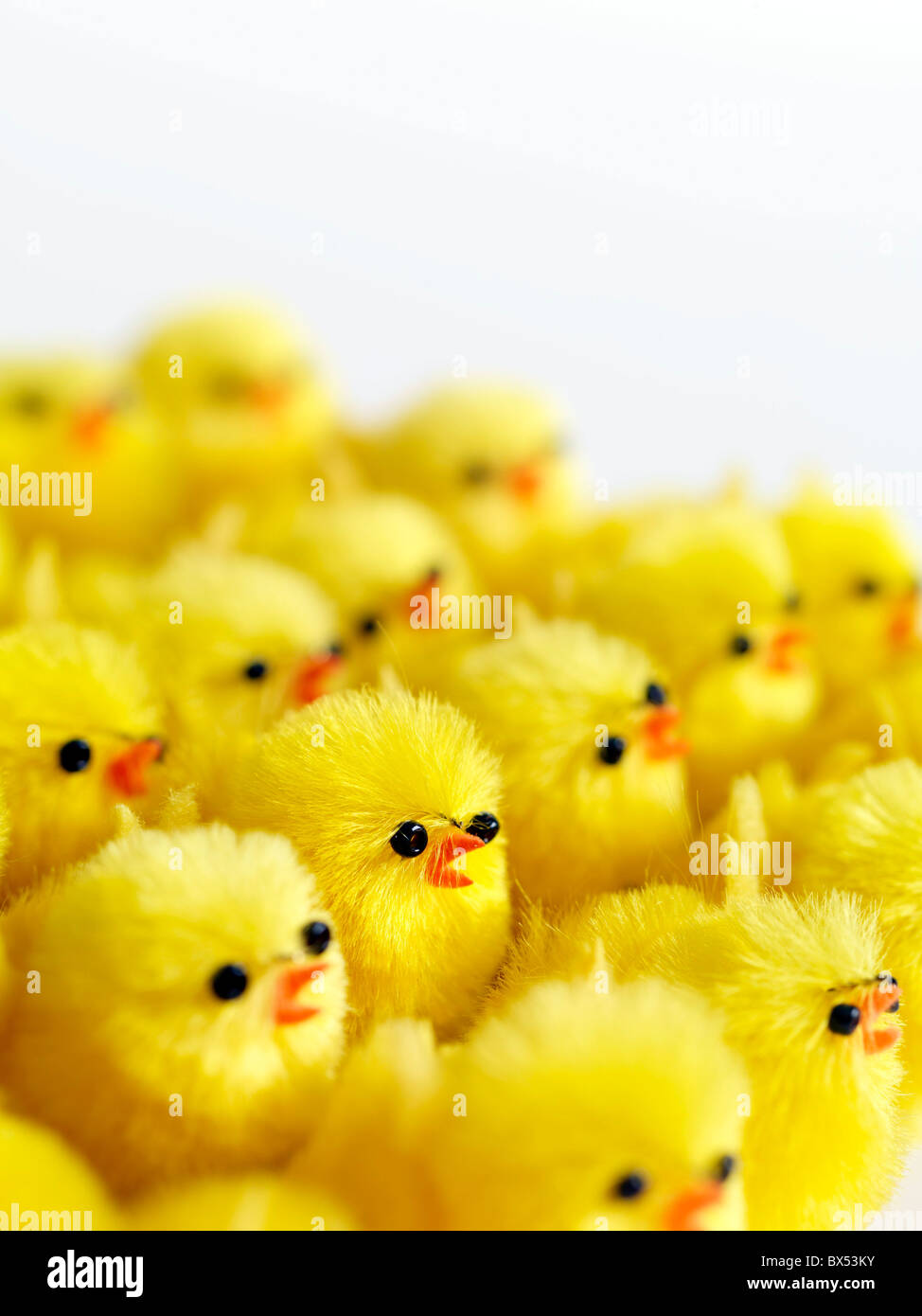 Toy Chickens Hi-res Stock Photography And Images - Alamy