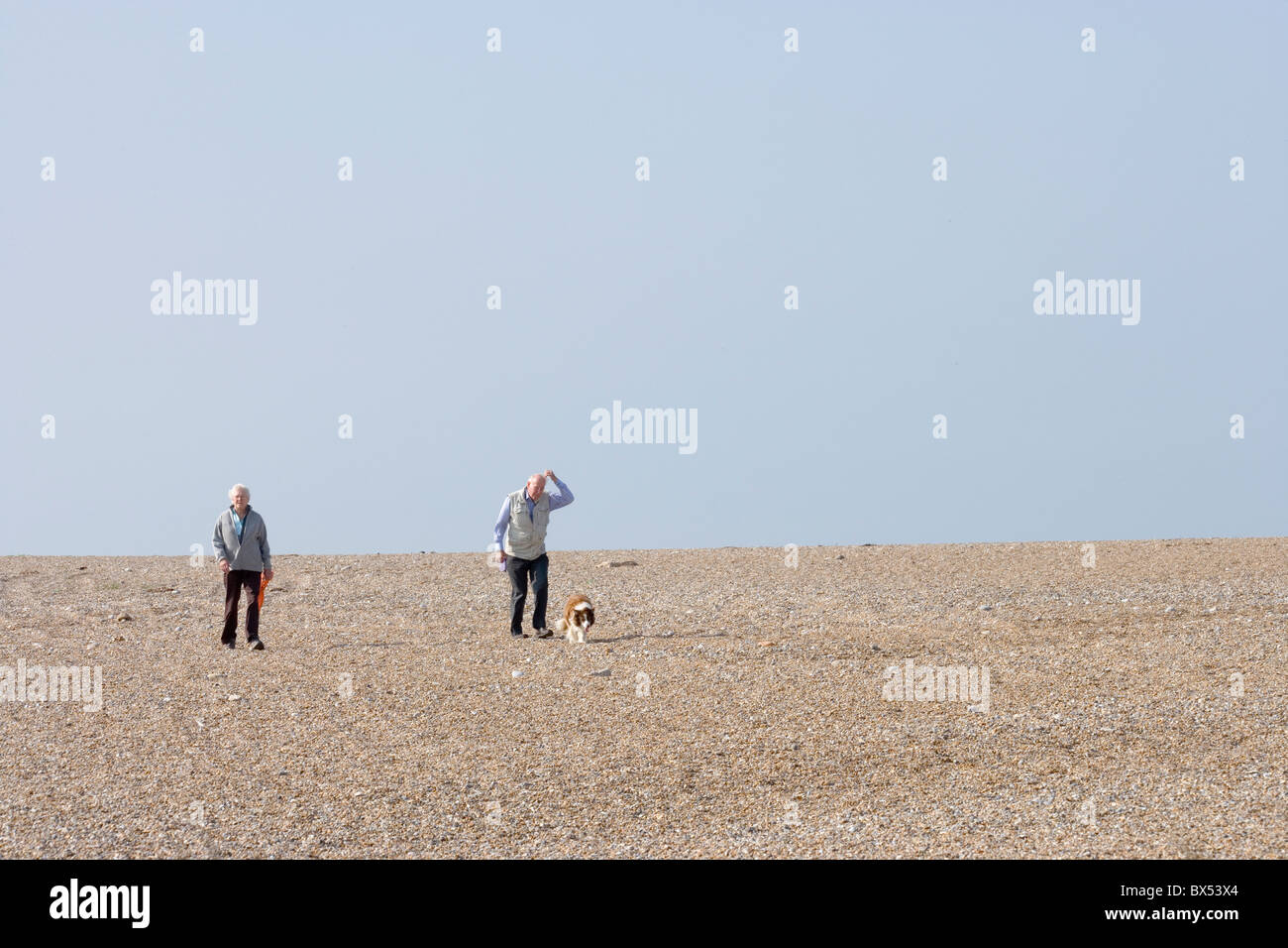 Recreation, exercise, dog walking on the beach. Cley, north Norfolk coast. Stock Photo