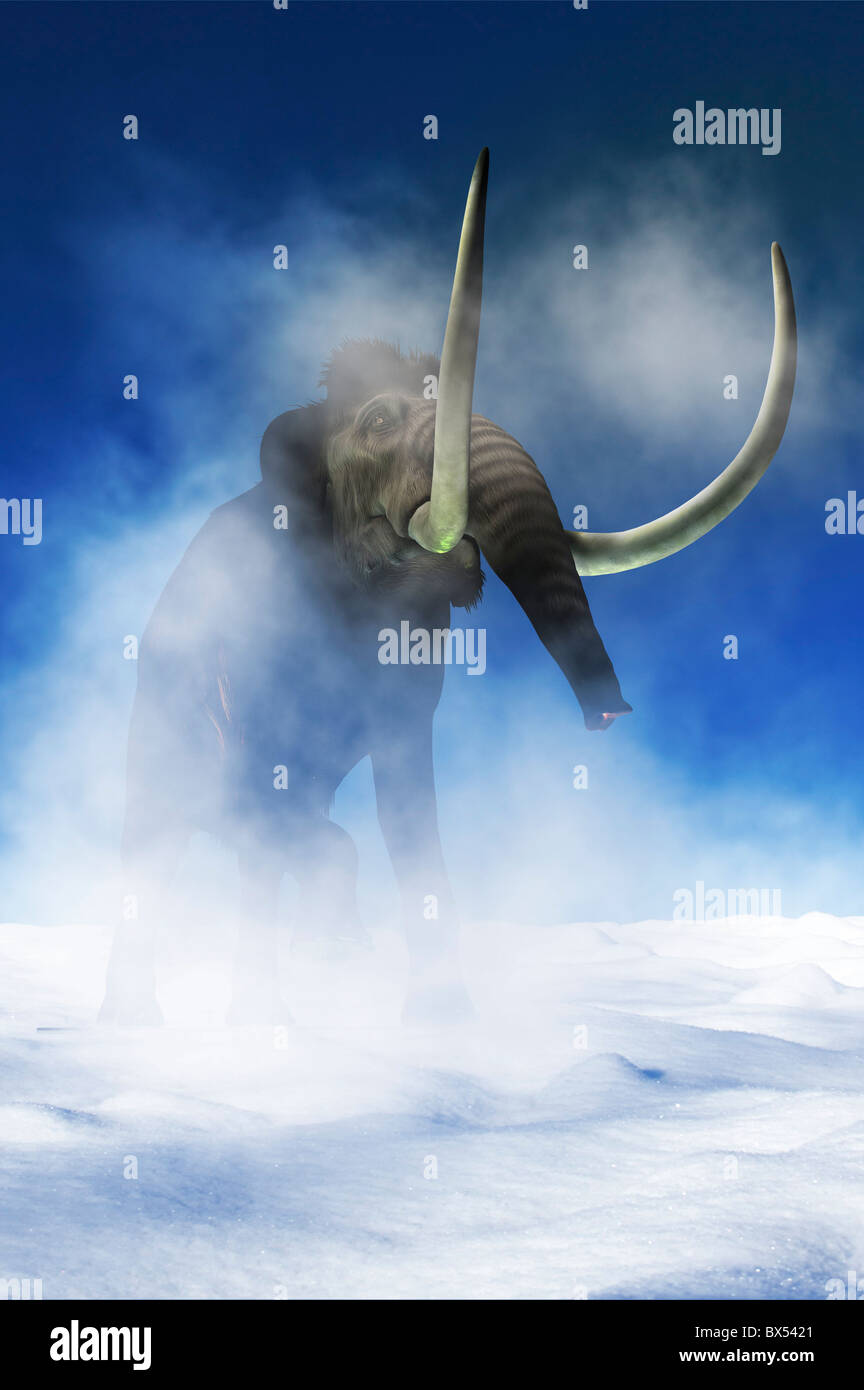 Woolly mammoth, artwork Stock Photo