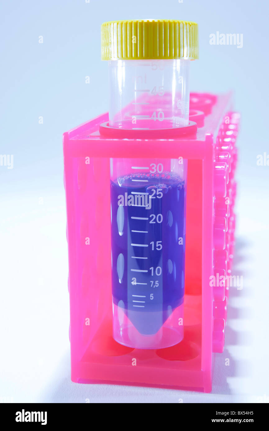 Test tubes holders hi-res stock photography and images - Alamy