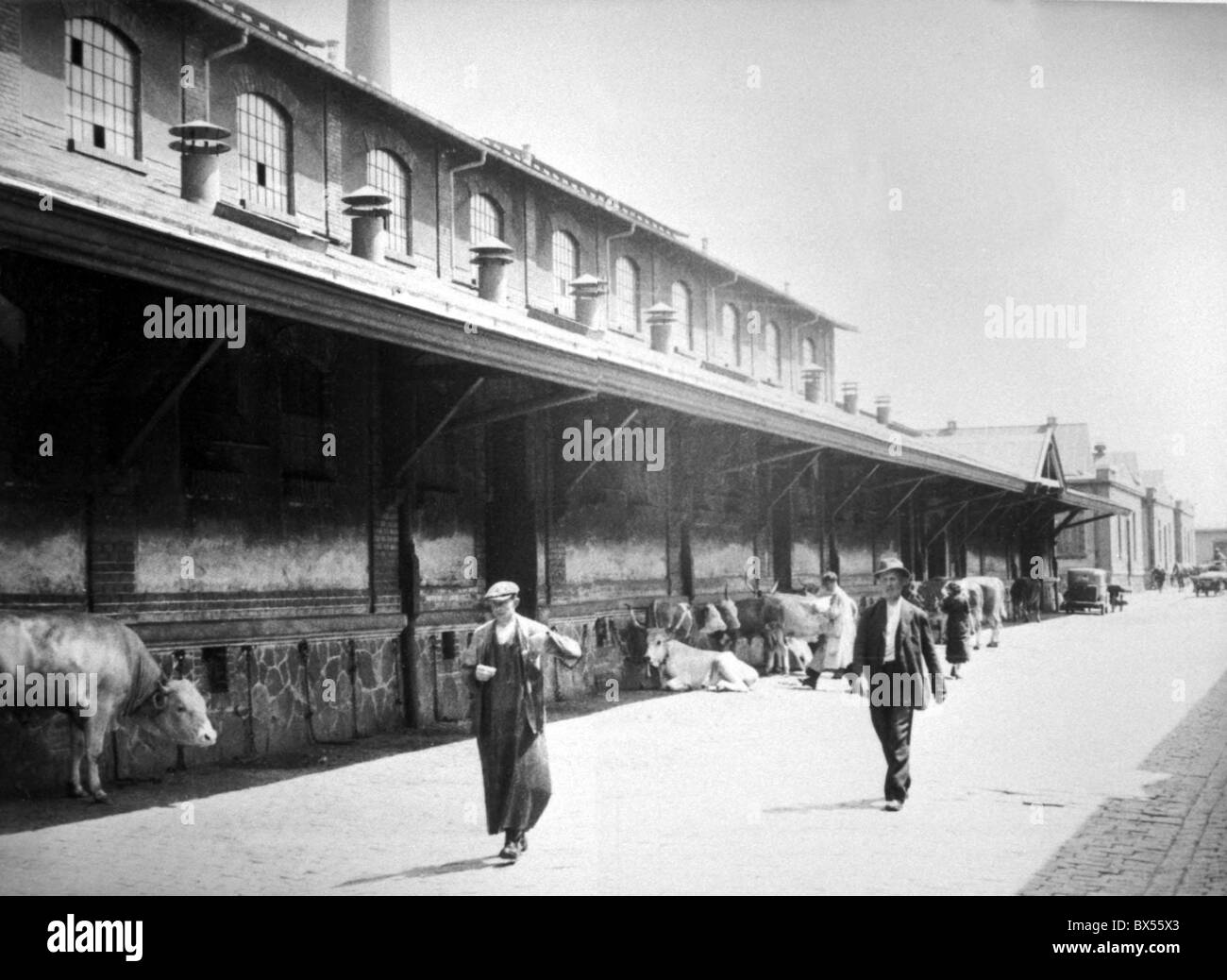 Prague 1935, vintage photograph of slaughter house at Holesovice. Stock Photo