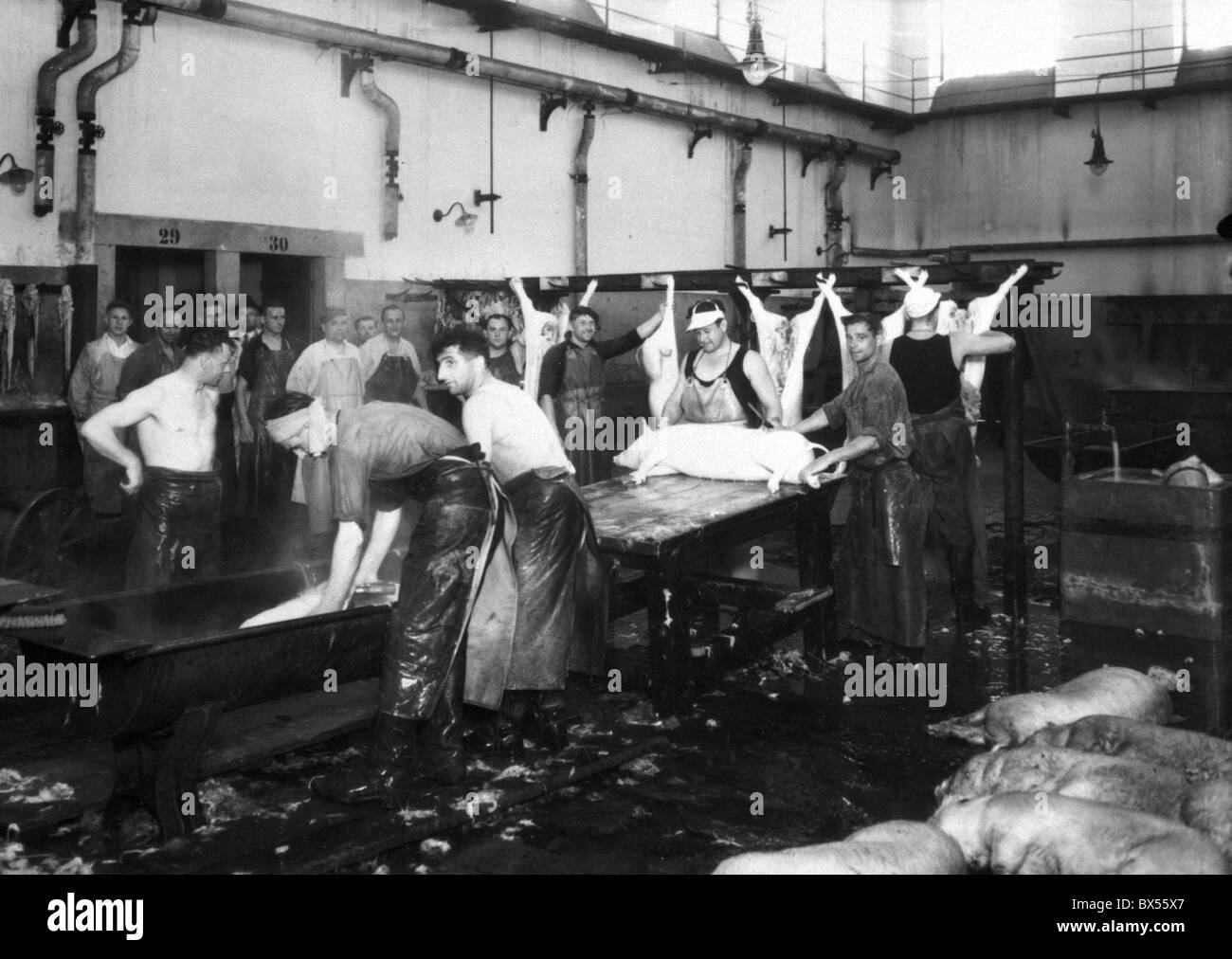 Prague 1935, vintage photograph of slaughter house at Holesovice. Stock Photo