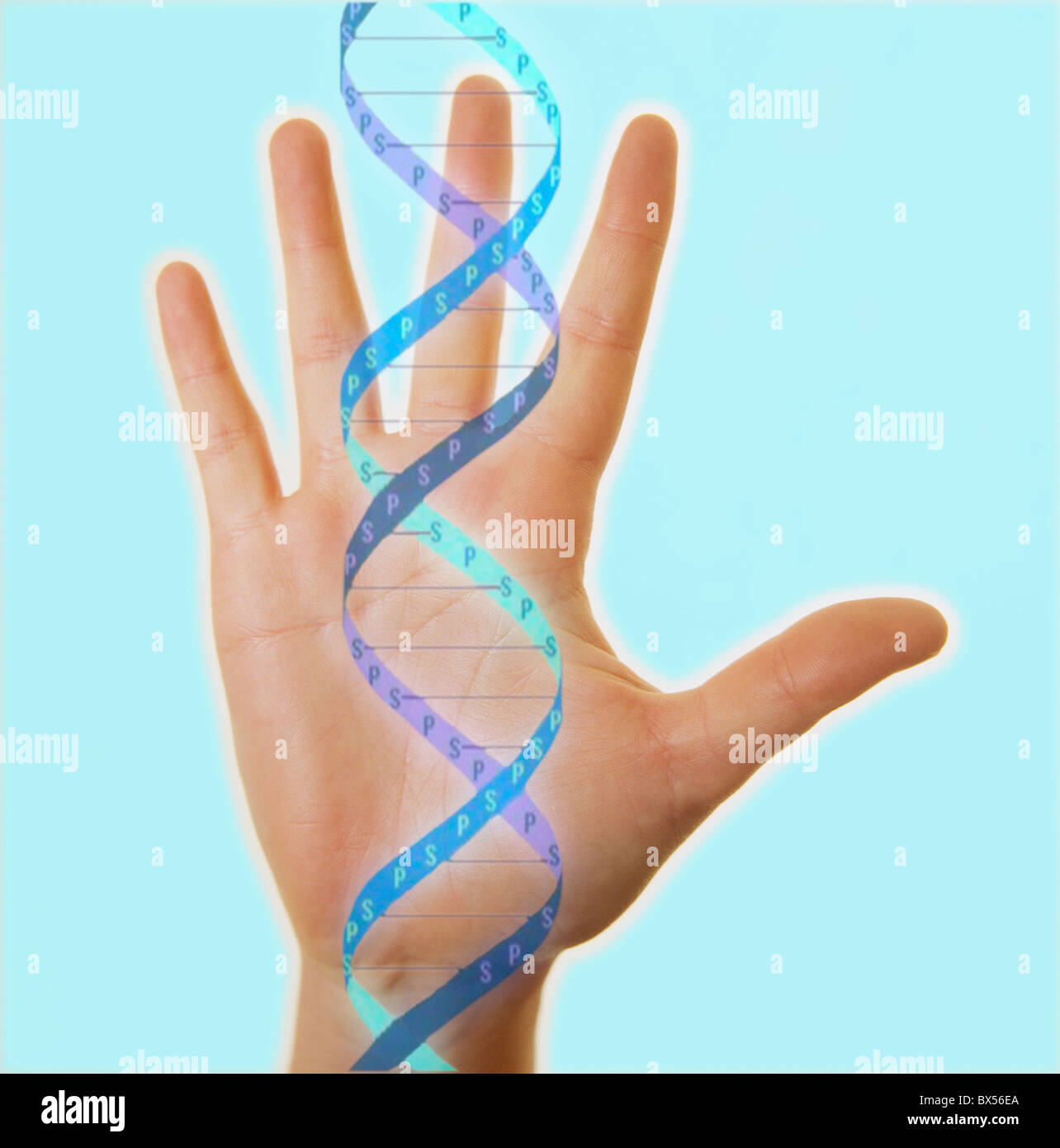 Hand and DNA molecule Stock Photo