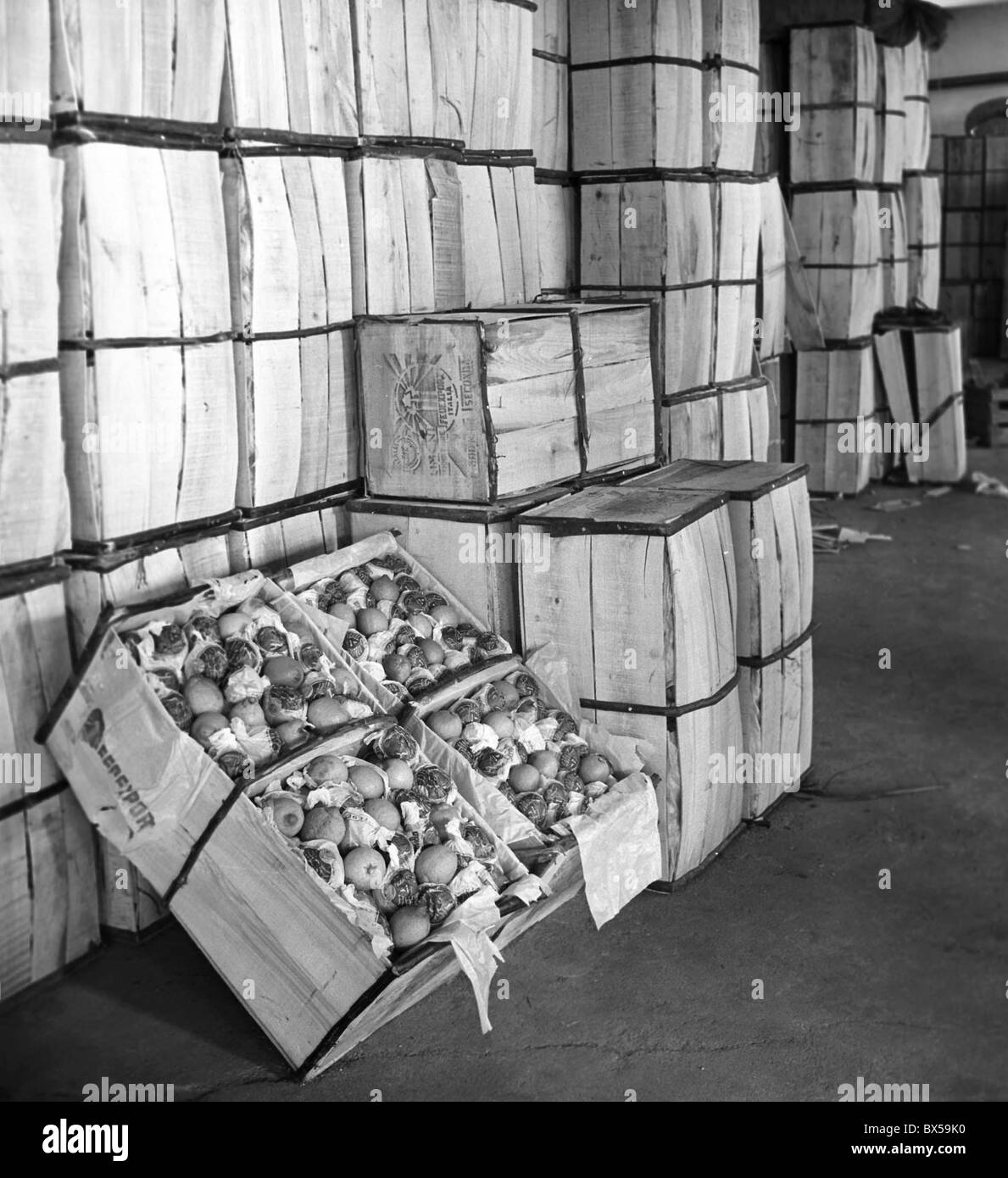 Czechoslovakia - Prague 1950. Boxes of imported lemons. CTK Vintage Photo Stock Photo