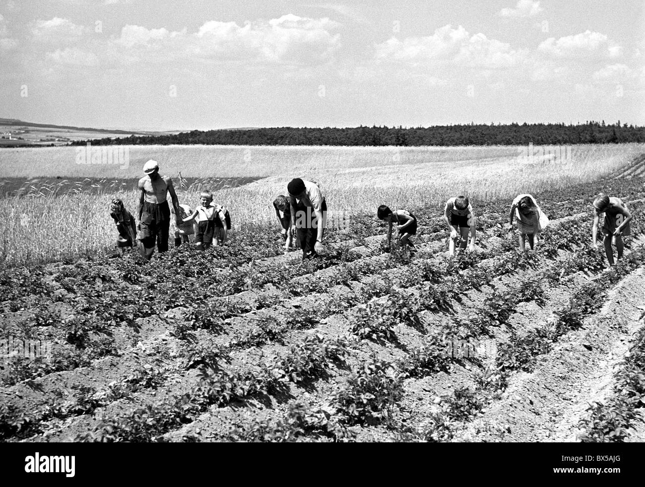 Czechoslovakia 1950 hires stock photography and images Alamy