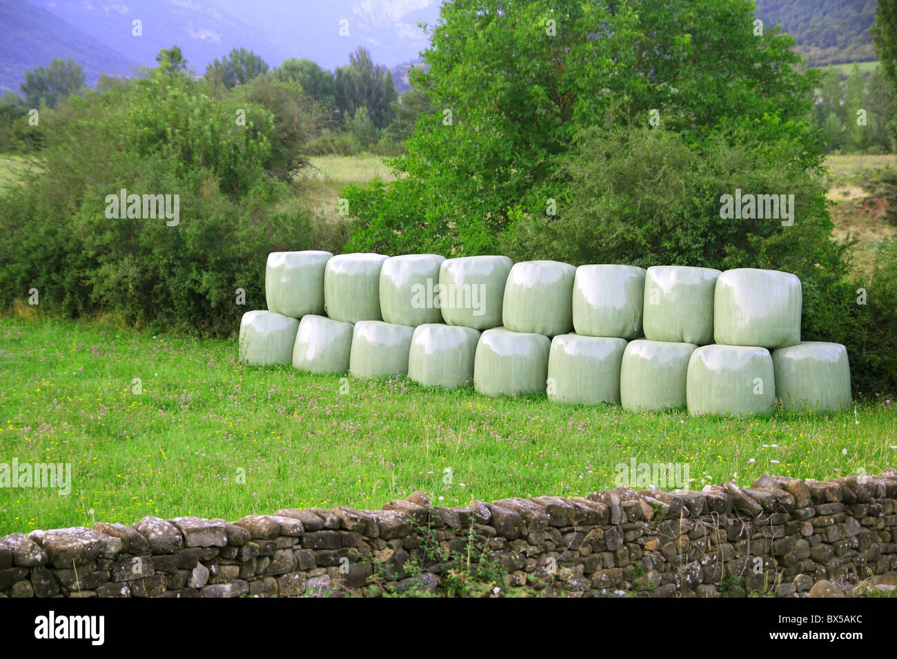 cereal bales round green plastic wrap cover outdoor meadow field Stock Photo