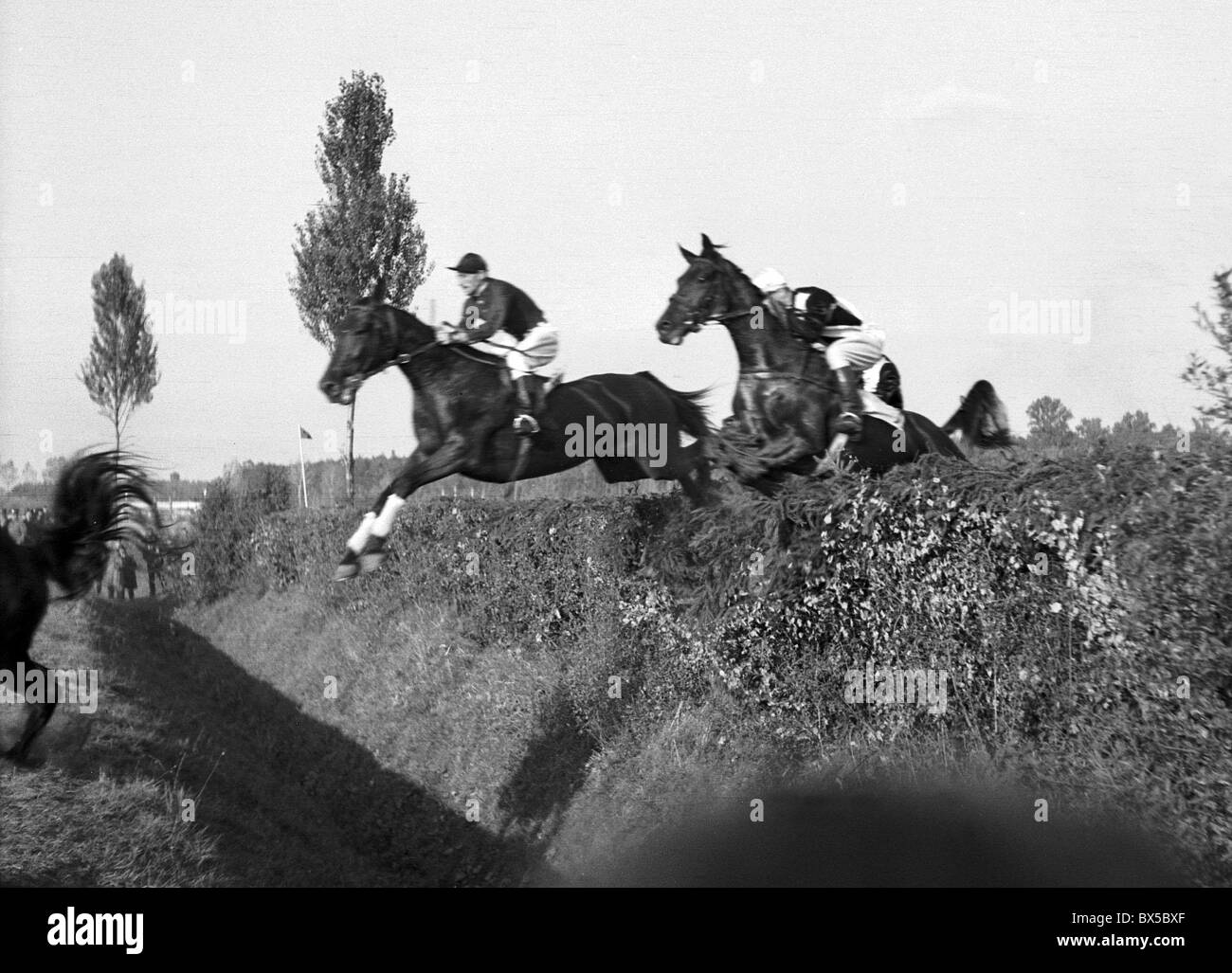 Prague 1947, horses with riders jump over obstacle during race at 'Velka Pardubicka' steeplechase. CTK Vintage Photo Stock Photo
