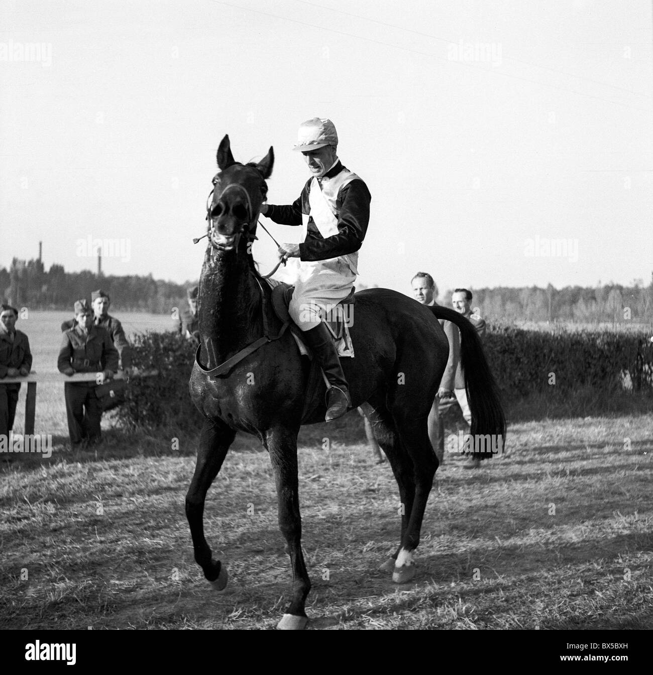 Prague 1947, horse with jockey before race at 'Velka Pardubicka' steeplechase. CTK Vintage Photo Stock Photo