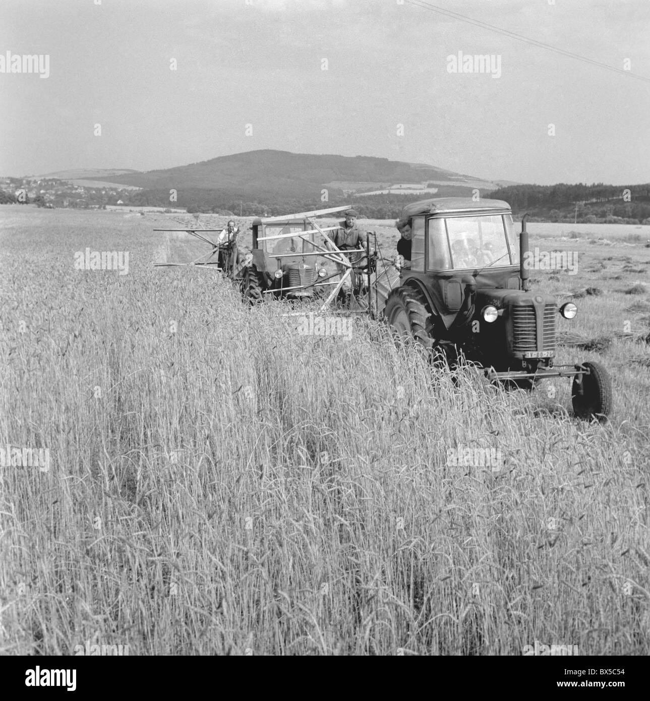 wheat harvest, United Agricultural Cooperative farmer, harvest machine Stock Photo