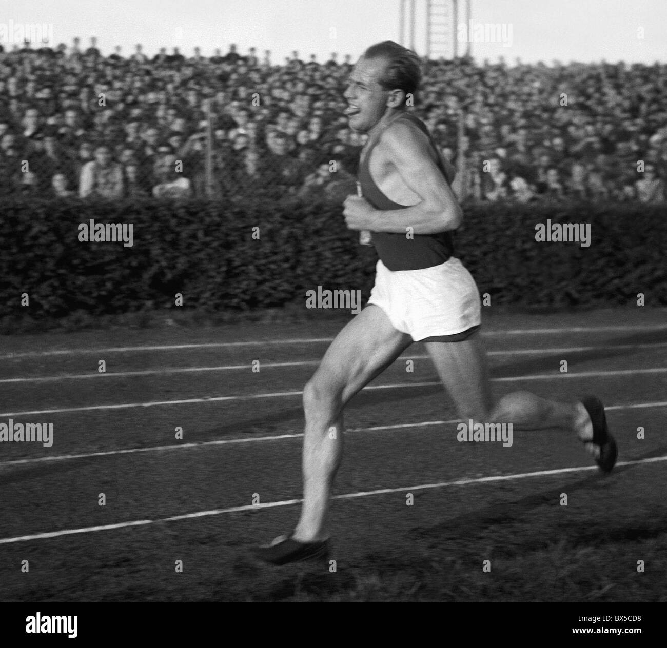 Czechoslovakia, Prague 1948. Long distance runner Emil Zatopek during 5 kilometer race. CTK Vintage Photo Stock Photo