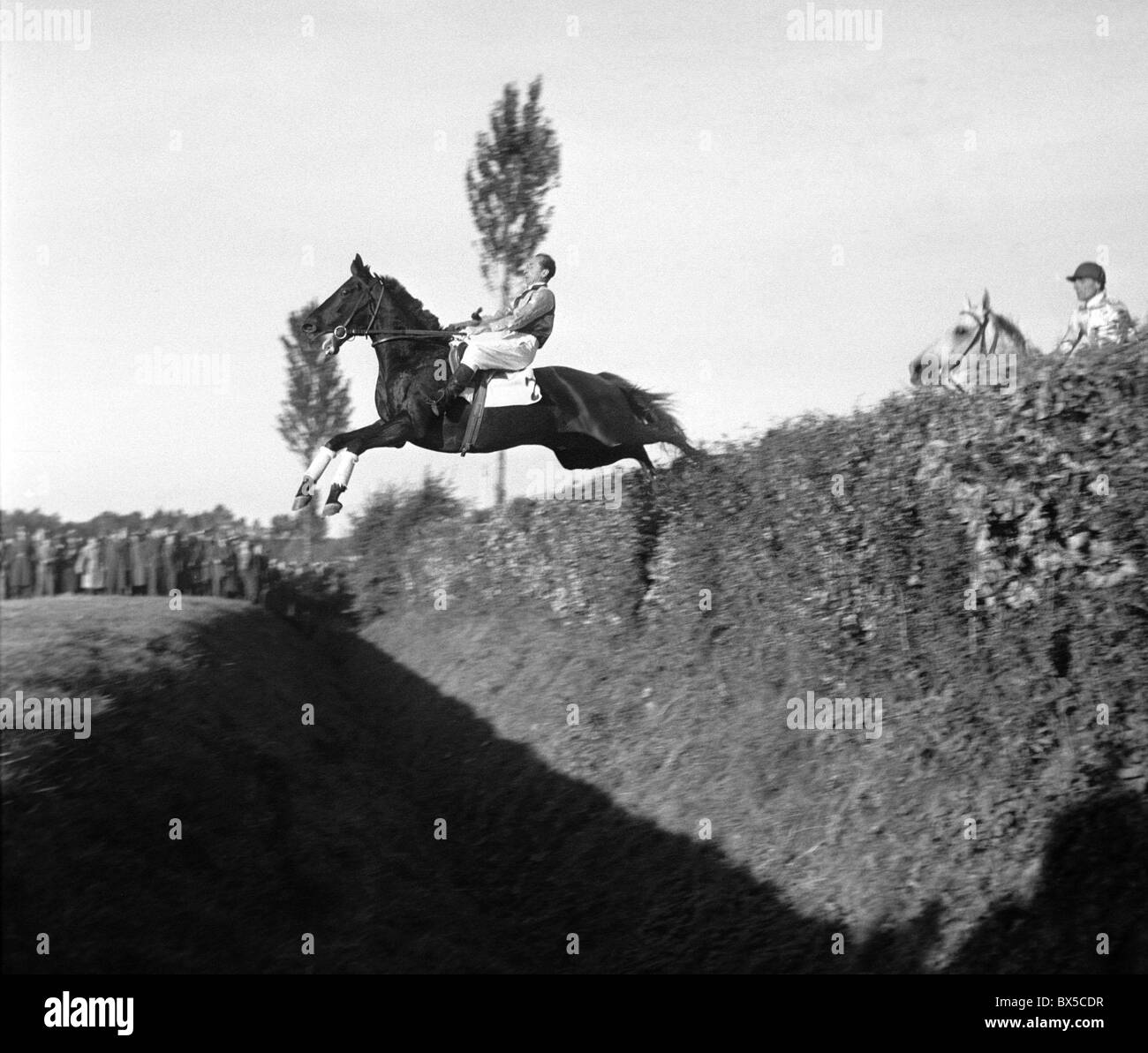 Czechoslovakia,' Velka Pardubicka' steeplechase. Jockey nogotiates Taxis ditch. CTK Vintage Photo Stock Photo