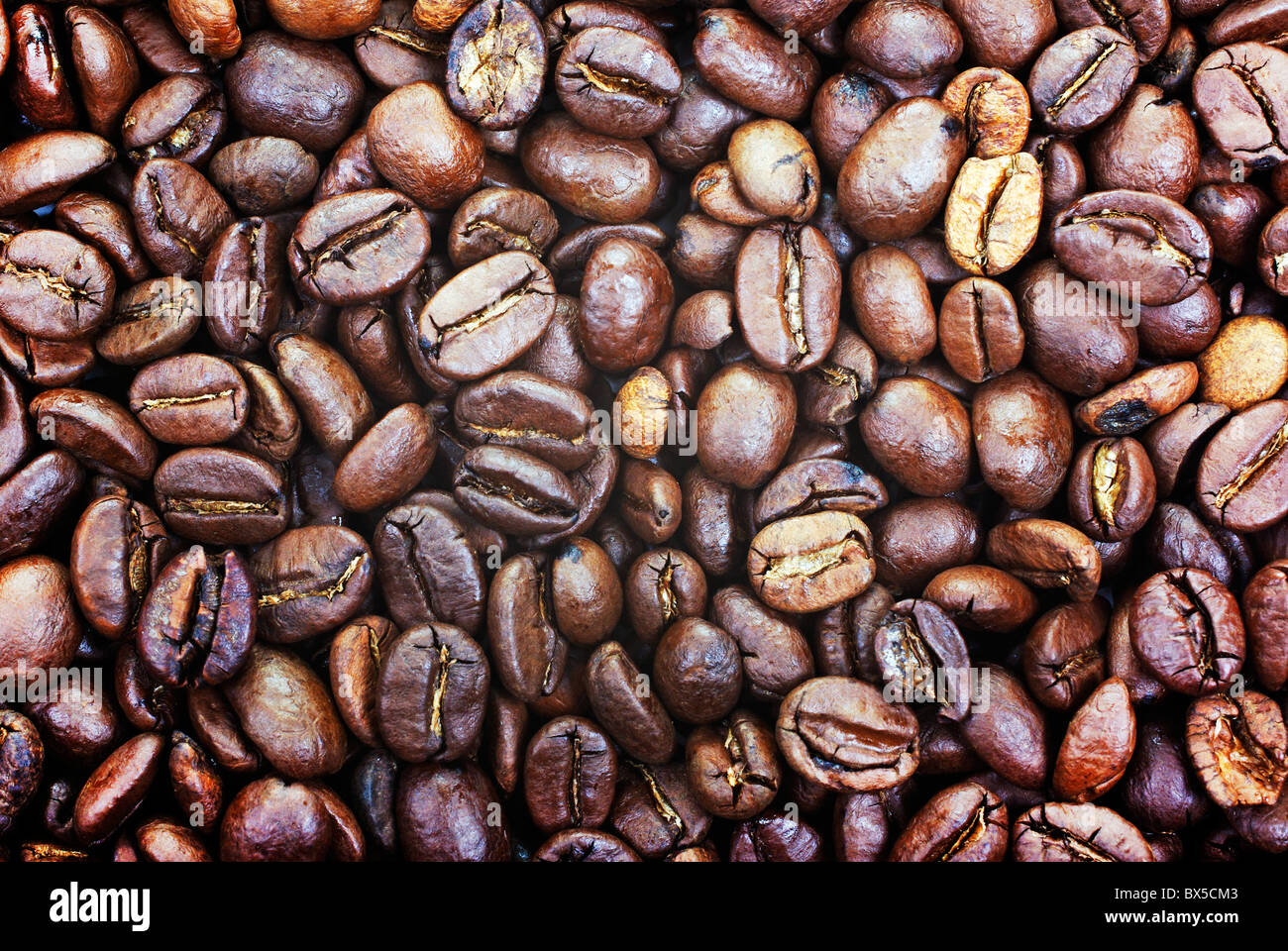 Heap of brown roasted coffee beans closer photo as background or ...