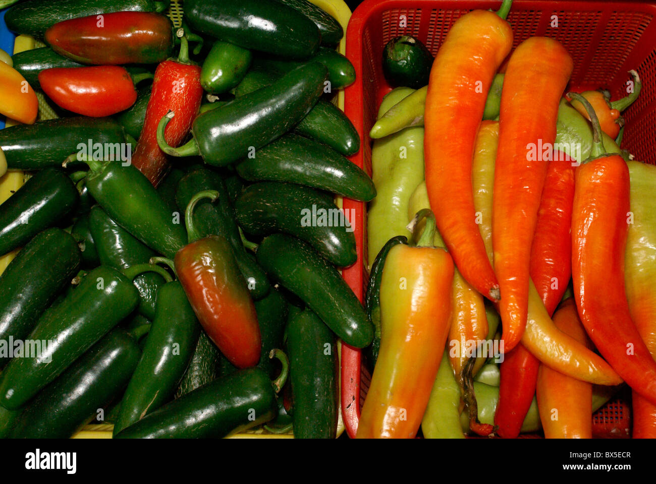 Chili peppers in the market, in San Miguel de Allende, Guanajuato, Mexico. Stock Photo