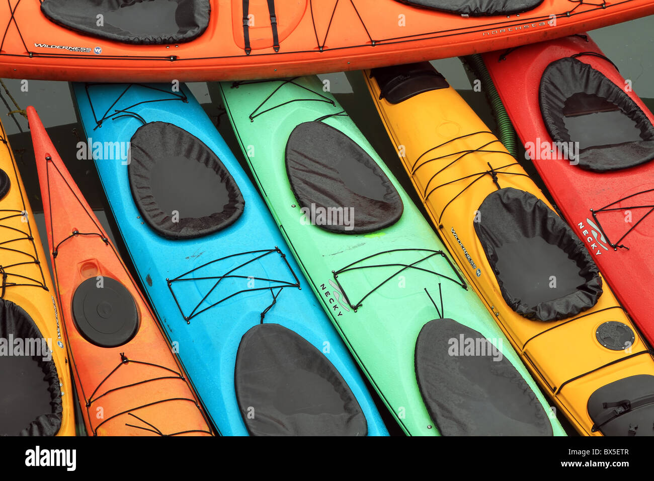 Colorful kayaks floating at dock in the ocean at Prince Rupert marina
